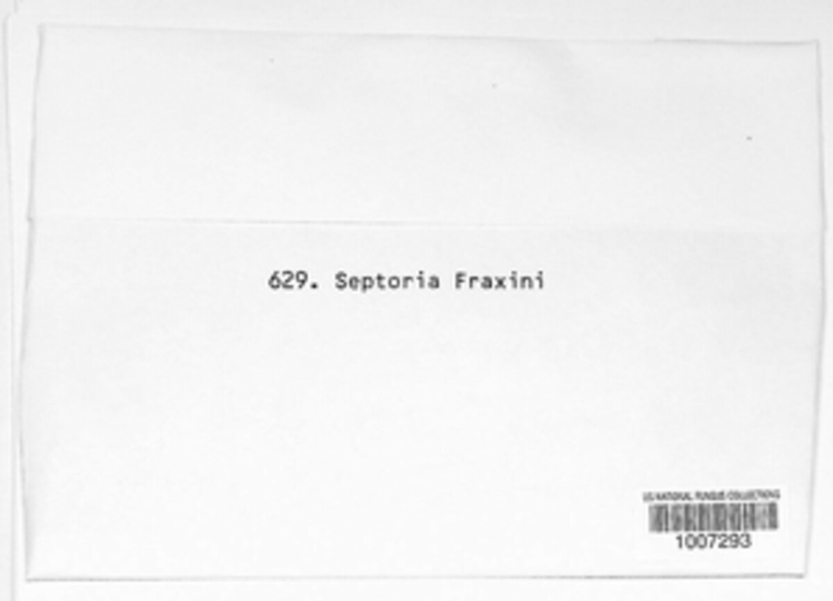 Passalora fraxini image